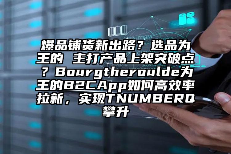 爆品铺货新出路？选品为王的 主打产品上架突破点？Bourgtheroulde为王的B2CApp如何高效率拉新，实现TNUMBERQ攀升