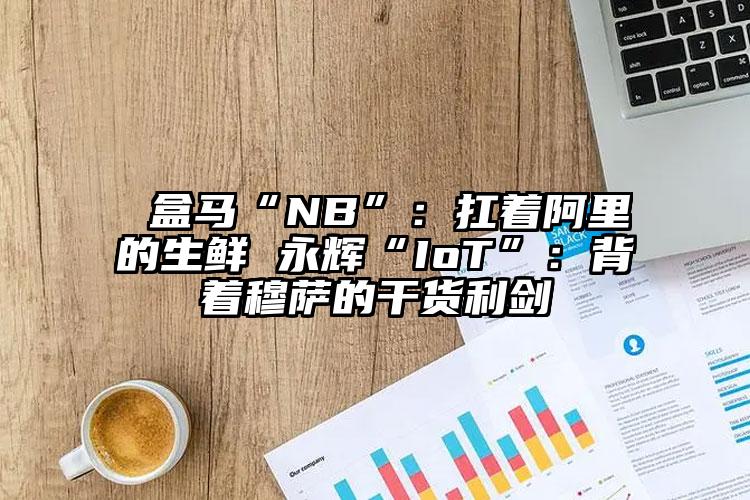  盒马“NB”：扛着阿里的生鲜 永辉“IoT”：背着穆萨的干货利剑